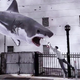 Illustration for article titled With the Sequel Annouced, Sharknado Is Officially an Annual Tradition